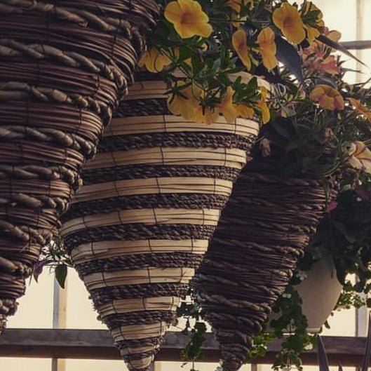 Assorted Cone Hanging Baskets