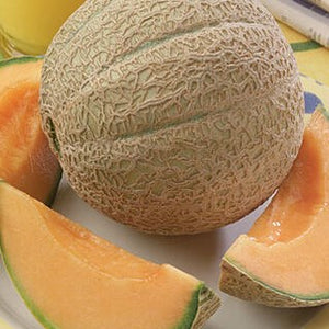 Cantaloupe