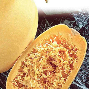 Spaghetti Squash