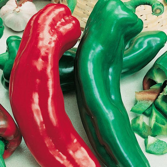 Gusto Italia Pepper Marconi Red F1