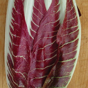 Radicchio Red Treviso - 6 Pks
